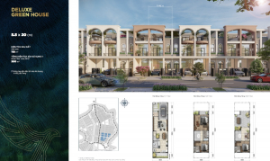 Thiết kế pheonix south 5,5x20m