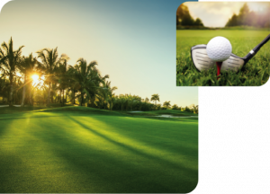 tiện ích the elite