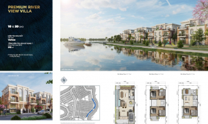 Phoenix north 5 10x20